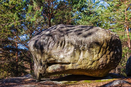 Specific rock located in Fontanebleau forest. This French forest is a national natural park wellknown for its boulders with various sahpes and dimensions.