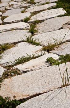 Yard stone path and grass