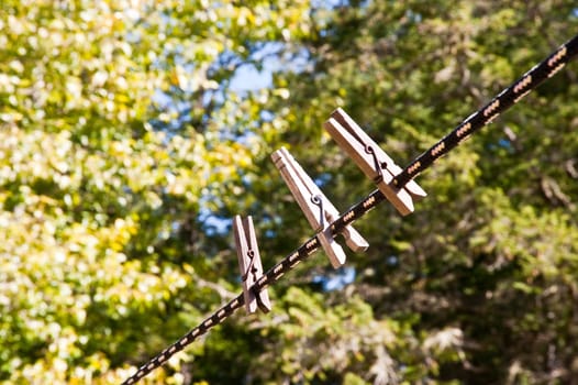 Clothespins on a line in a yard