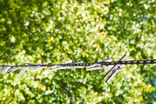 Clothespins on a line in a yard