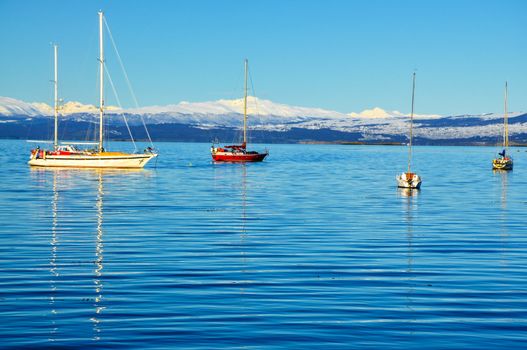 Boats in the Beagle Channel with snow covered mountains behind them.