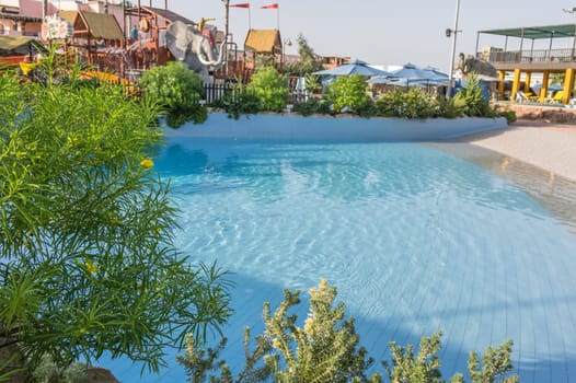 A clear blue swimming pool in a beautiful surrounded by plants