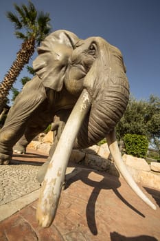 A wide angle view of a large elephant statue looking like it is about to charge