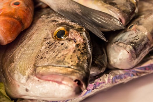 Fish piled one on top of another about to be picked as a meal