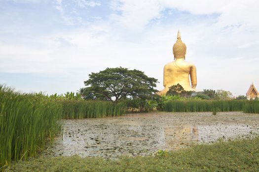 Big buddha statue at Wat muang, Thailand