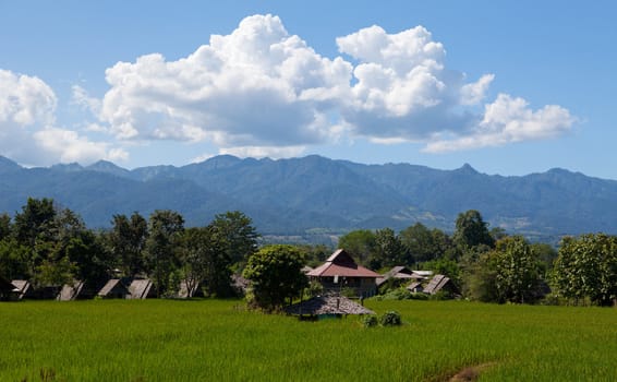 Village with green field in Pai Maehongson ,Thailand
