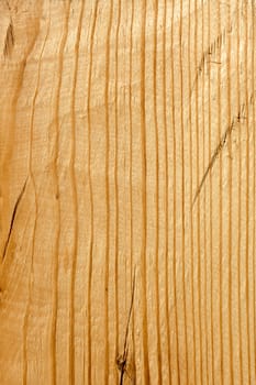 Fragment of wooden boards in the sunlight