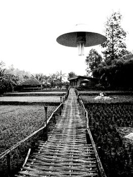 Bamboo bridge in grain type