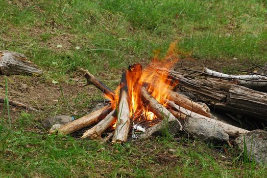 Red yellow camp fire at green glade