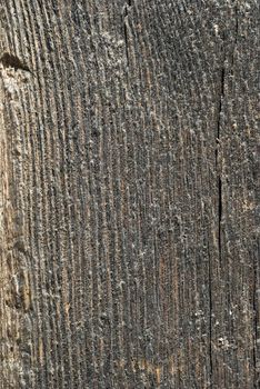 Old black fumy church beam texture closeup as background