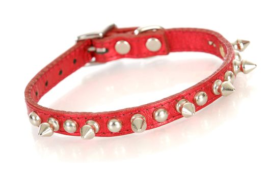 dog collar - red studded dog collar isolated on white background