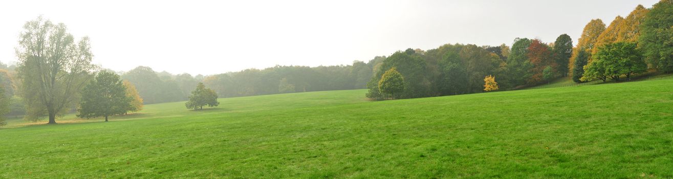 autumn english landscape in London England panorama image