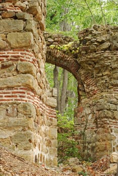 Ancient roman fortress ruins, arch, wall, forest