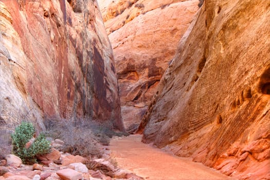 Evening light in Capitol Gorge of Capitol Reef National Park in Utah.