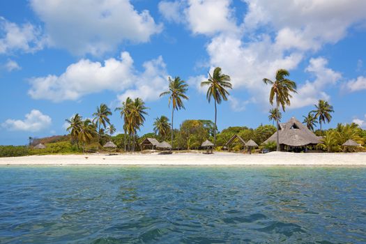 Untouched nature at Mafia Island in Tanzania