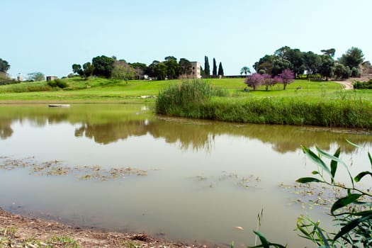 Small lake in the park of Israel