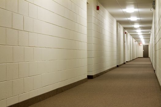 Modern Hallway in new building