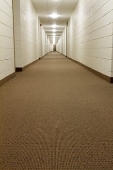 Modern Hallway in new building