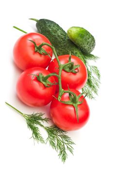 tomato dill and cucumber on a white background 