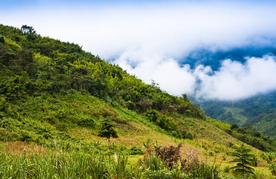 Haze in the mountains. In the morning one day.