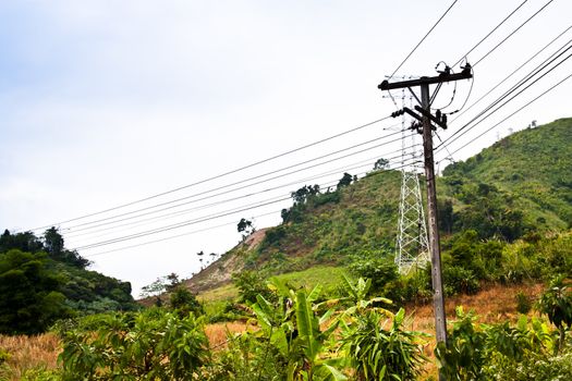 Pole high-voltage power line runs through the place.