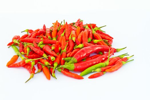 chili pepper isolated on a white background