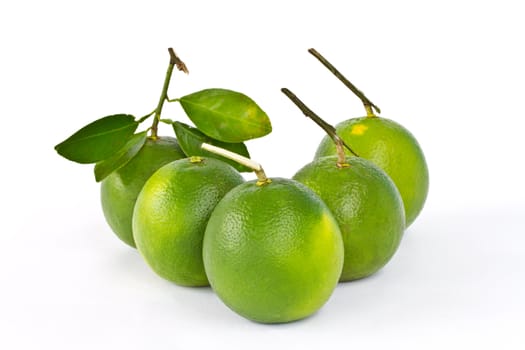 Pile of green sweet orange isolated on white