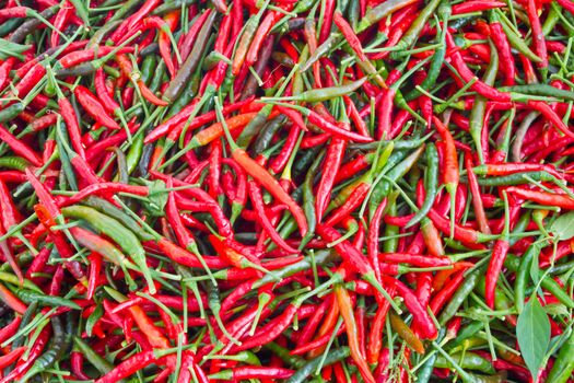 Spicy chili background can use as background