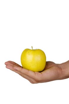 Golden delicious apple in a hand isolated on a white background.