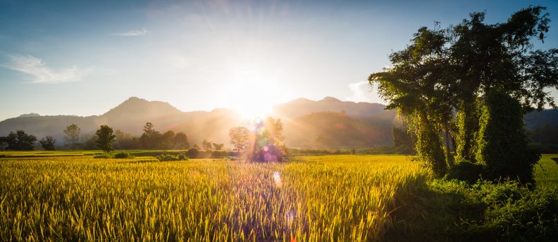 Sunset behind the mountains in the rice field with lens flare effect