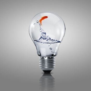 Gold fish in water inside an electric light bulb