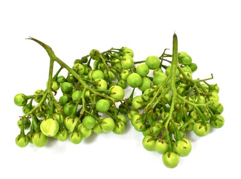 Pea Eggplants on white background