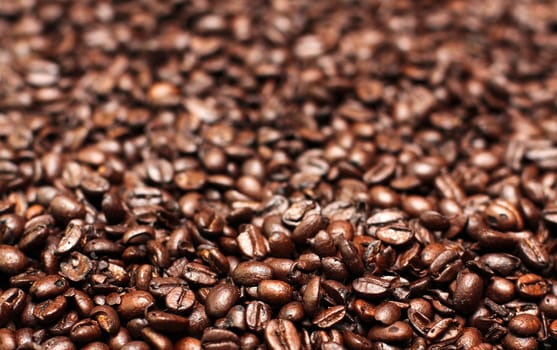 Texture of coffee beans close-up on the entire image