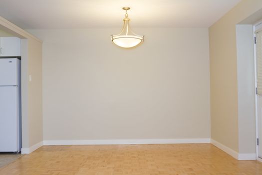 Empty Living Room in a new apartment