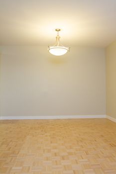 Empty Living Room in a new apartment
