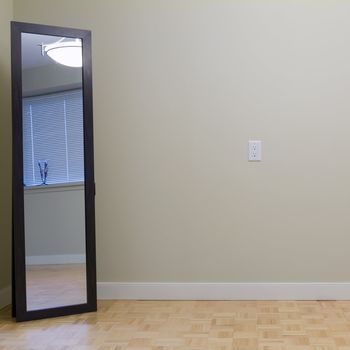 Empty Living Room with mirror in a new apartment