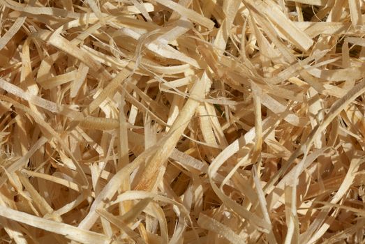 Close-up of wood shavings for use as a background