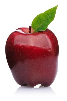 Red Apple isolated on white background