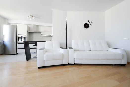 Modern luxury living room interior. No brandnames or copyright objects. 