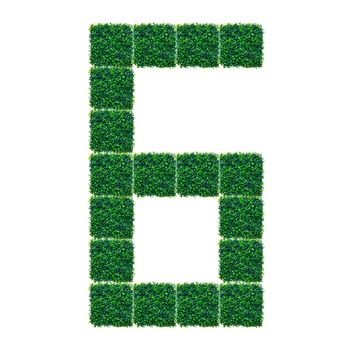 Number Six made from Artificial Grass on white background.