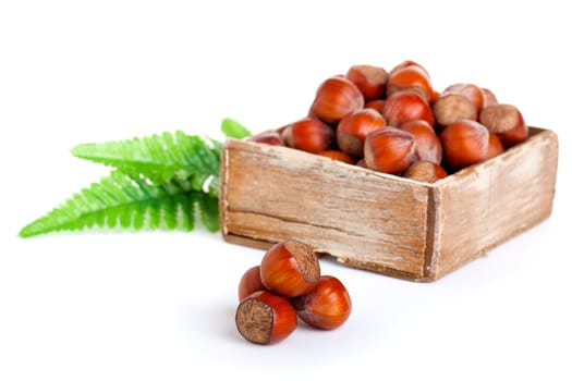 hazelnut in the wooden box. on white background