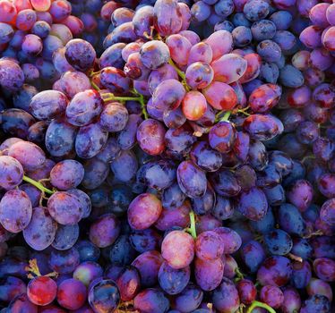 Piles of purple grapes at the Farmers market