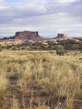 arizona canyons