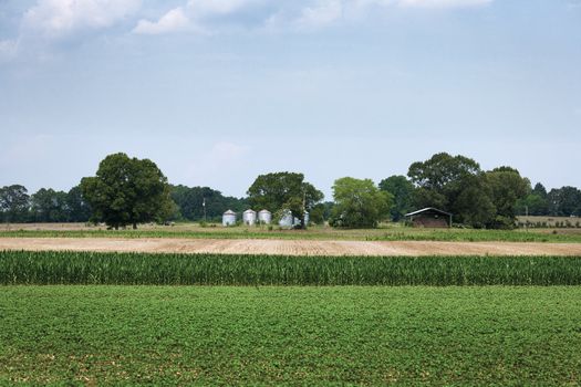 Fields and Silos