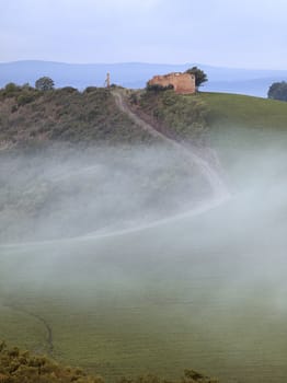 Foggy Tuscan Road