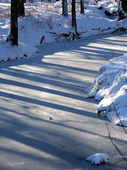 Shadows cast over a frozen creek at Allerton Park in central Illinois.