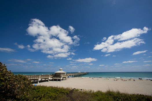 palm beach dock