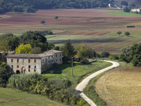 pathway in the field in tuscany