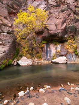 rocky stream