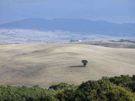 sand color field in tuscany italy